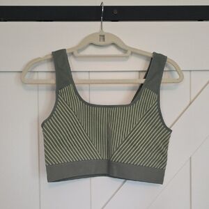 Fabletics Green Striped Sports Bra